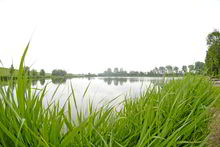 Badestelle 'Badesee Sommercamp Otterndorf' (Foto: Landkreis Cuxhaven, Gesundheitsamt)