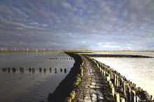 Badestelle 'Nordseestrand Spieka-Neufeld'  (Foto: Landkreis Cuxhaven, Gesundheitsamt)