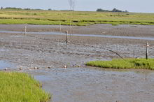 Badestelle 'Nordseestrand Spieka-Neufeld' (Foto: Landkreis Cuxhaven, Gesundheitsamt)