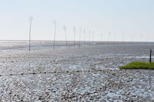 Badestelle 'Nordseestrand Spieka-Neufeld' (Foto: Landkreis Cuxhaven, Gesundheitsamt)