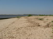 Badestelle 'Weserstrand Sandstedt' (Foto: Landkreis Cuxhaven, Gesundheitsamt)