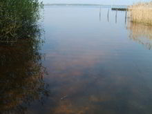 Badestelle 'Zwischenahner Meer, Jugendherberge' (Foto: Landkreis Ammerland, Gesundheitsamt)