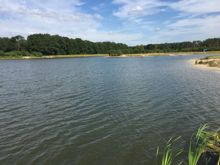 Badestelle 'Badestelle Rosiener See'  (Foto: Holger Hogelücht, Gemeinde Amt Neuhaus)