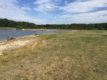 Badestelle 'Badestelle Rosiener See' (Foto: Holger Hogelücht, Gemeinde Amt Neuhaus)