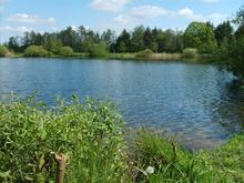 Badestelle 'Woldsee' (Foto: Landkreis Ammerland, Gesundheitsamt)