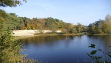 Badestelle 'Tunxdorfer Waldsee'  (Foto: Landkreis Emsland, Gesundheitsamt)