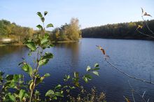 Badestelle 'Tunxdorfer Waldsee' (Foto: Landkreis Emsland, Gesundheitsamt)