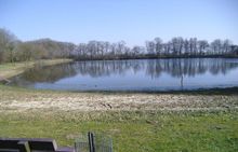 Badestelle 'Natursee an der Borsumer Straße'  (Foto: Landkreis Emsland, Gesundheitsamt)