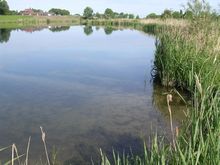 Badestelle 'Alte Weser in Dreye' (Foto: Ulf Panten, Gemeinde Weyhe)