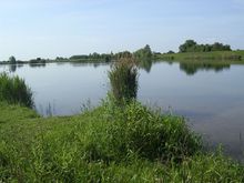 Badestelle 'Alte Weser in Dreye' (Foto: Ulf Panten, Gemeinde Weyhe)