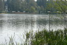 Badestelle 'Hämelsee / Anderten' (Foto: Landkreis Nienburg/Weser, Fachdienst Hygiene und Umwelt)