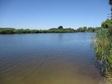 Badestelle 'Rethemer Fährsee (Campingplatz)' (Foto: Landkreis Heidekreis, Gesundheitsamt)