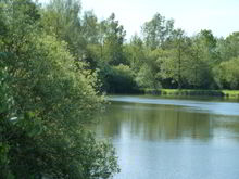 Badestelle 'Sulinger Stadtsee'  (Foto: Stadt Sulingen)