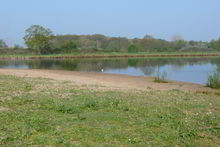 Badestelle 'Badestelle Glissen - Kleinenheerse'  (Foto: Landkreis Nienburg/Weser, Fachdienst Hygiene und Umwelt)