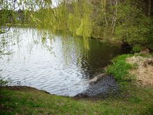 Badestelle 'Kiesteich - Bordenau'  (Foto: Region Hannover, FB Gesundheit)