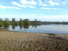 Badestelle 'Irenensee - Dahrenhorst'  (Foto: Region Hannover, FB Gesundheit)