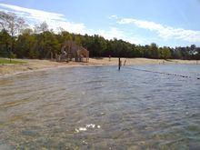 Badestelle 'Badesee (Erholungsgebiet) Quendorf' (Foto: Landkreis Grafschaft Bentheim, Gesundheitsamt)