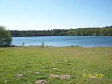 Badestelle 'Baggersee Holsterfeldstraße, Salzbergen'  (Foto: Landkreis Emsland, Gesundheitsamt)