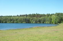 Badestelle 'Baggersee Holsterfeldstraße, Salzbergen' (Foto: Landkreis Emsland, Gesundheitsamt)