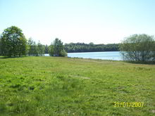 Badestelle 'Baggersee Holsterfeldstraße, Salzbergen' (Foto: Landkreis Emsland, Gesundheitsamt)