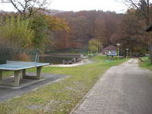 Badestelle 'Wiesenbeker Teich'  (Foto: Landkreis Osterode, Gesundheitsamt)