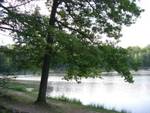 Badestelle 'Priorteich' (Foto: Landkreis Osterode, Gesundheitsamt)